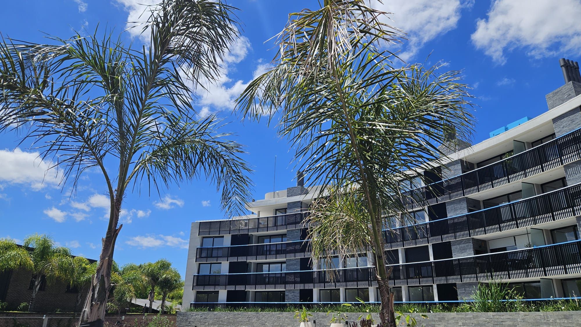 Odoo CMS - una imagen grande