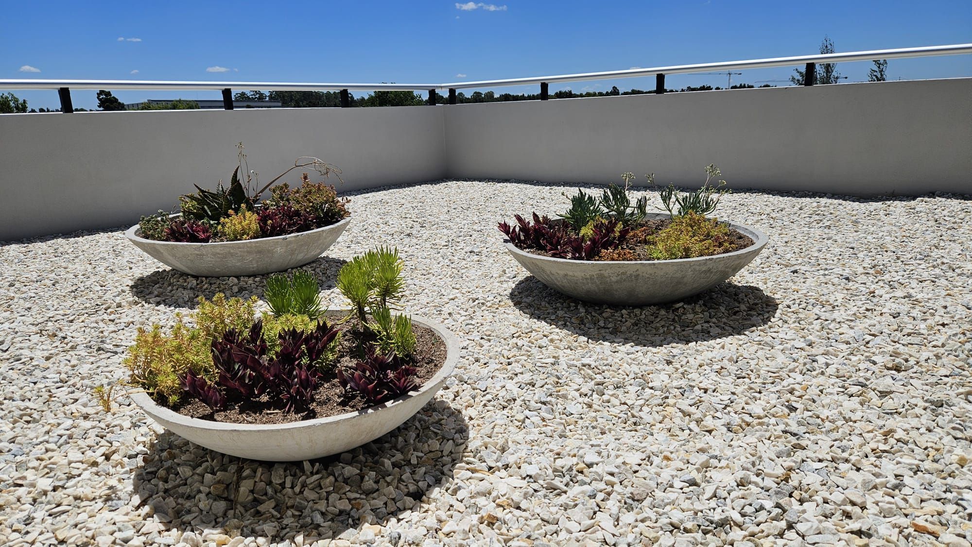 Odoo CMS - una imagen grande