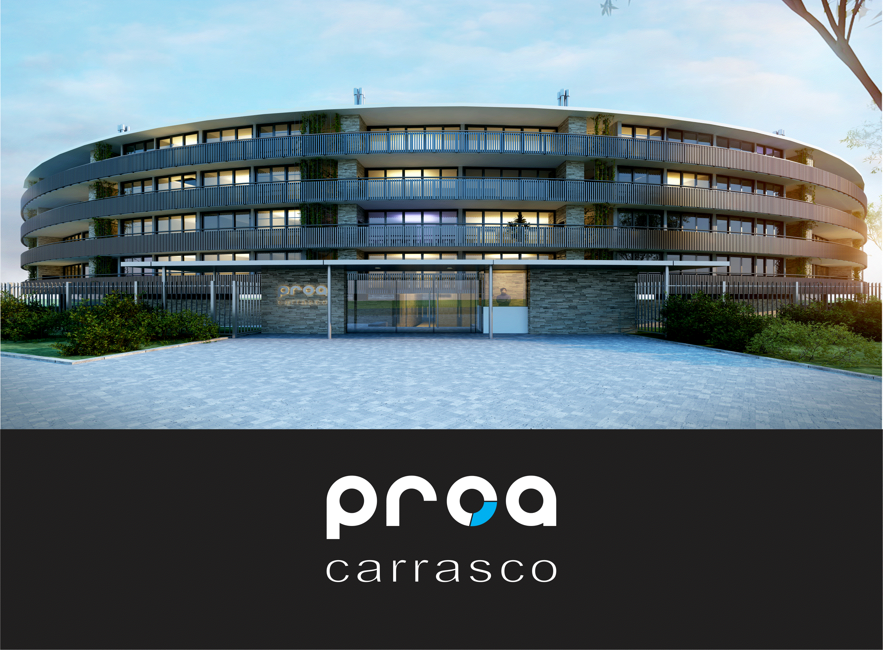 Odoo CMS - una imagen grande